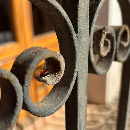 Cal Capdevila Hébergement de vacances