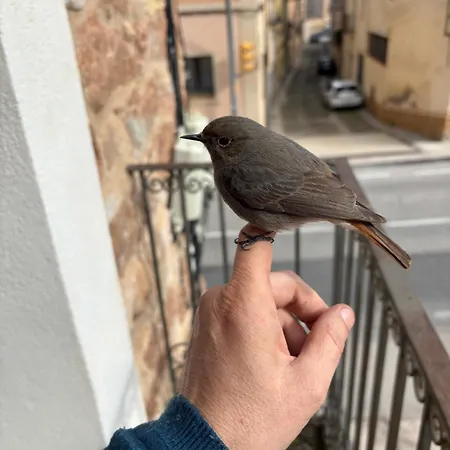 Cal Capdevila * Pira