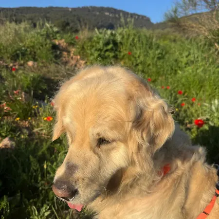 Hébergement de vacances Cal Capdevila