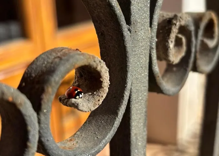 Cal Capdevila Σπίτι διακοπών